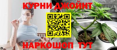 apvp Краснодар