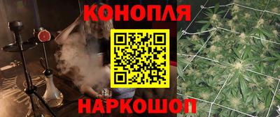 apvp Краснодар