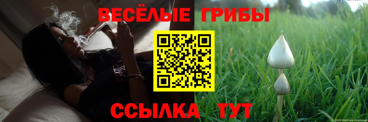 Кирово-Чепецк  Галлюциногенные грибы Magic Shrooms  Вход с VPN 
